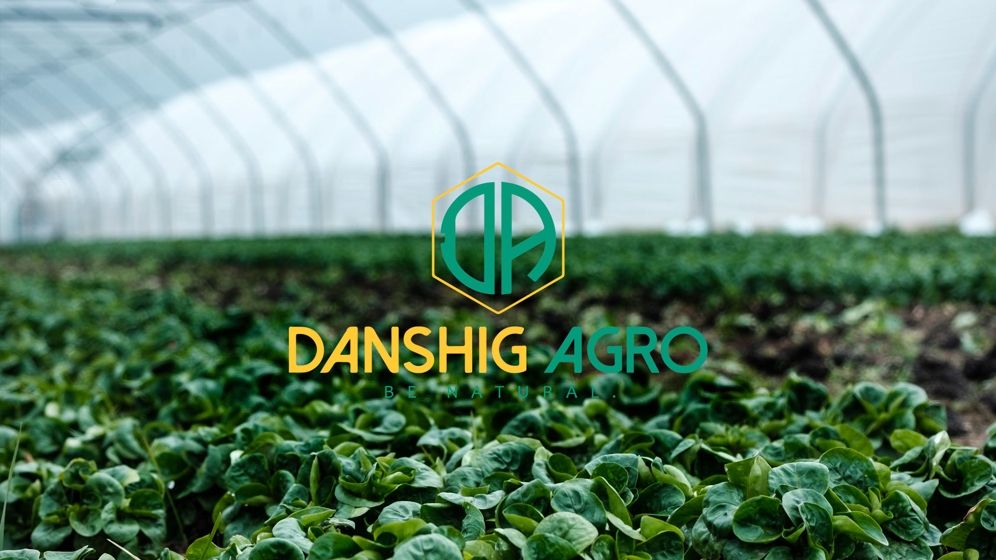 Danshig Agro LLC